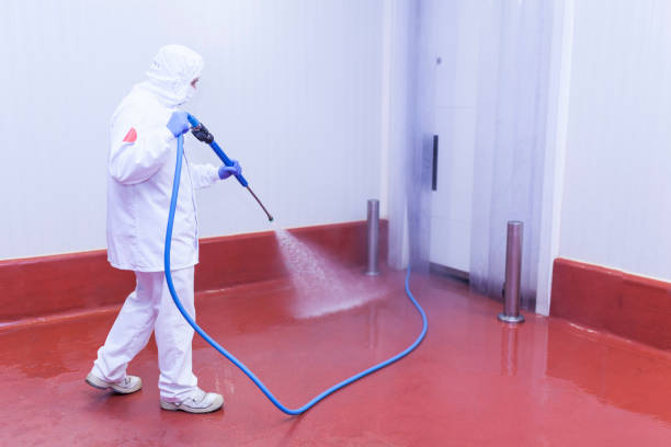 Best Pre-Holiday Cleaning  in Munsons Corners, NY